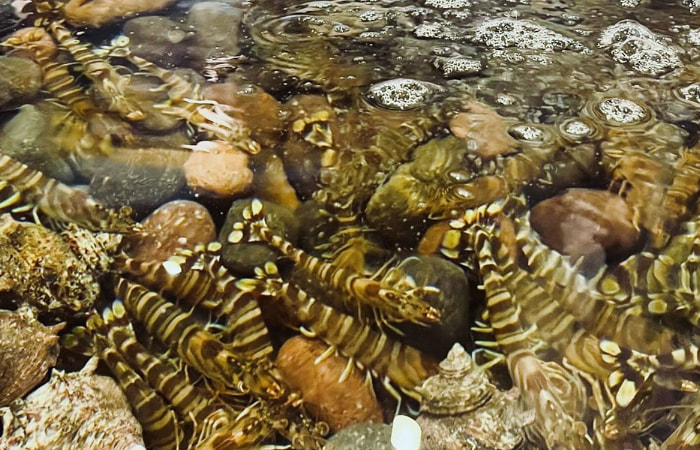 12月の営業日に関するご案内