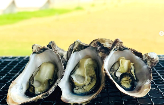 ソフトシェルクラブ